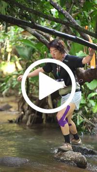 BIB:  <button type="button" onclick="openModal(27543608)" class="btn btn-primary btn-sm float-right" data-toggle="modal" data-target=".modal-high-quality">
                <i class="fa fa-download"></i> Download
                </button>